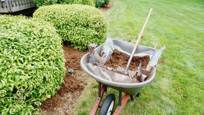 Nettoyage espaces verts