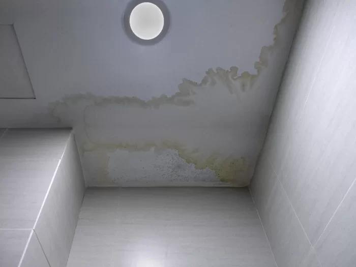 D&eacute;g&acirc;ts des eaux et &eacute;lectricit&eacute;